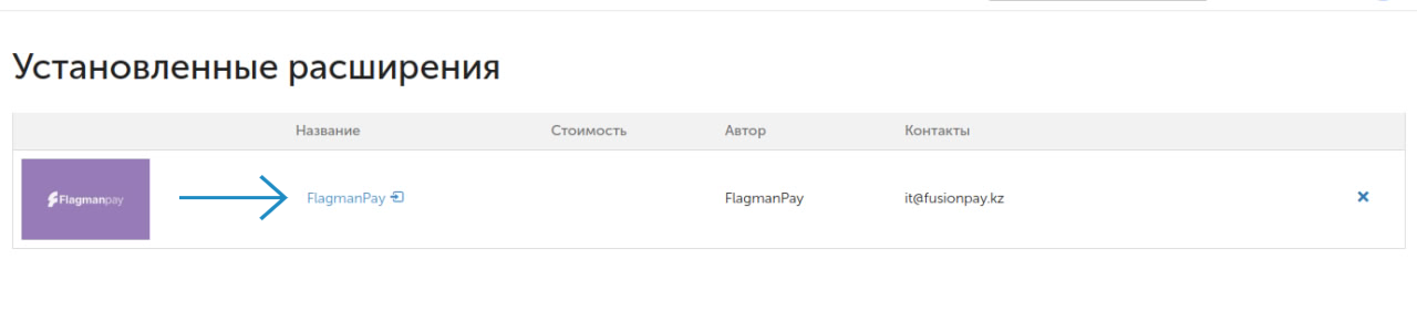 FlagmanPay settings