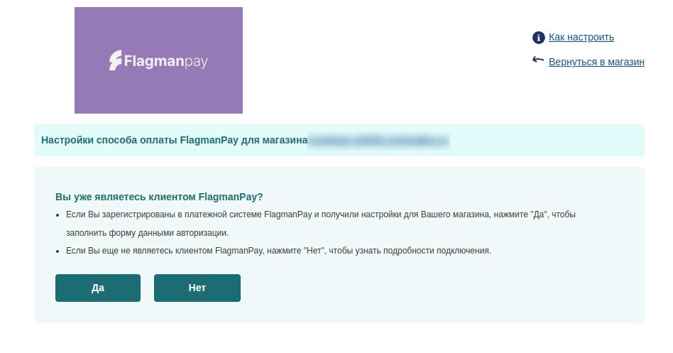 FlagmanPay payments settings