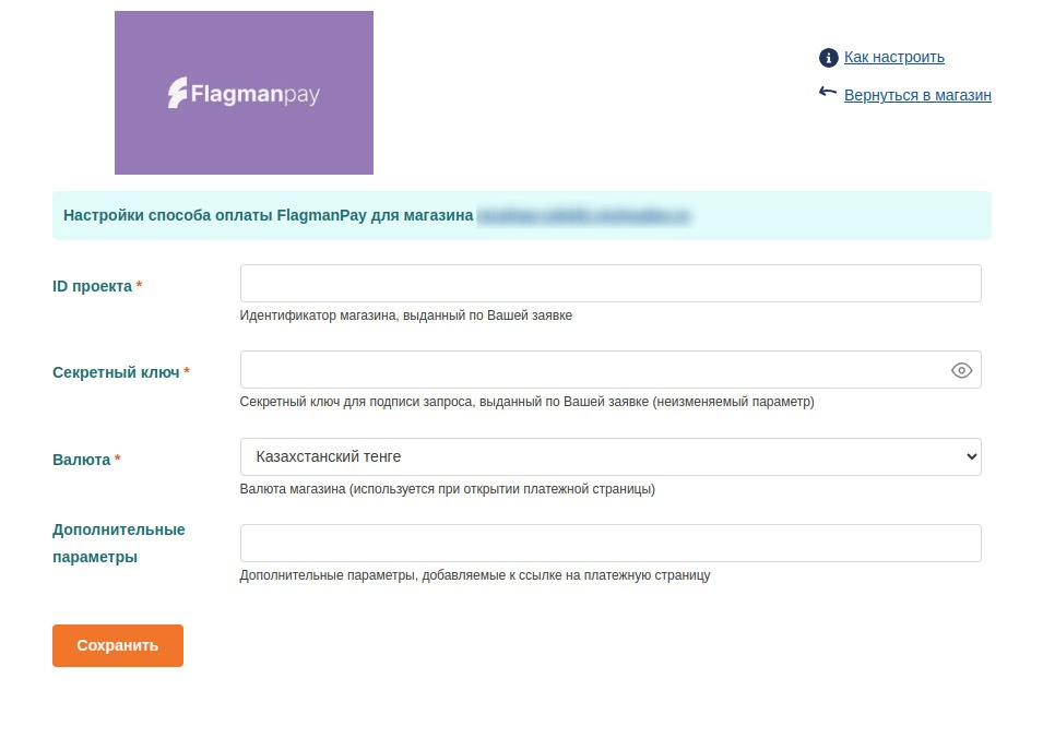 FlagmanPay payments settings